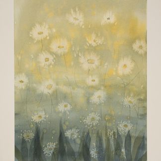 Daisies - 26 x 36 cm