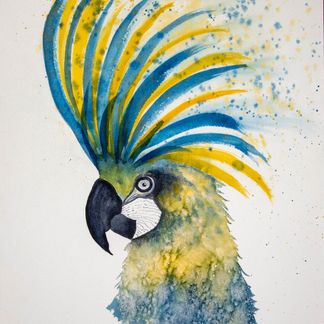 Blå papegøje - 26 x 34 cm - solgt