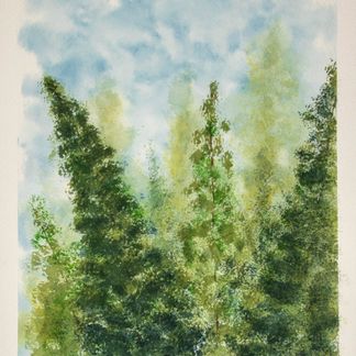 Fyrtræer - 21 x 29 cm